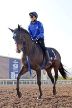 【香港マイル】惜しいっ！　直線追い比べもソウルラッシュは２着　父子制覇を目指したエンブロイダリーは１１着