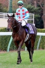 【注目馬動向】ホープフルＳ２着のフォルテアンジェロは皐月賞へ直行