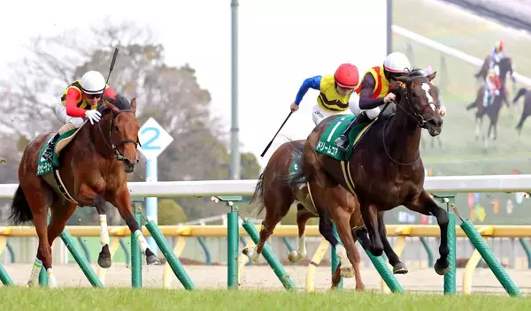 【桜花賞】クイーンＣから直行“必勝ローテ”で臨むドリームコアは充実一途　母ノームコアとの母娘Ｇ１制覇目指せる出来