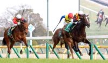 【桜花賞】クイーンＣから直行“必勝ローテ”で臨むドリームコアは充実一途　母ノームコアとの母娘Ｇ１制覇目指せる出来