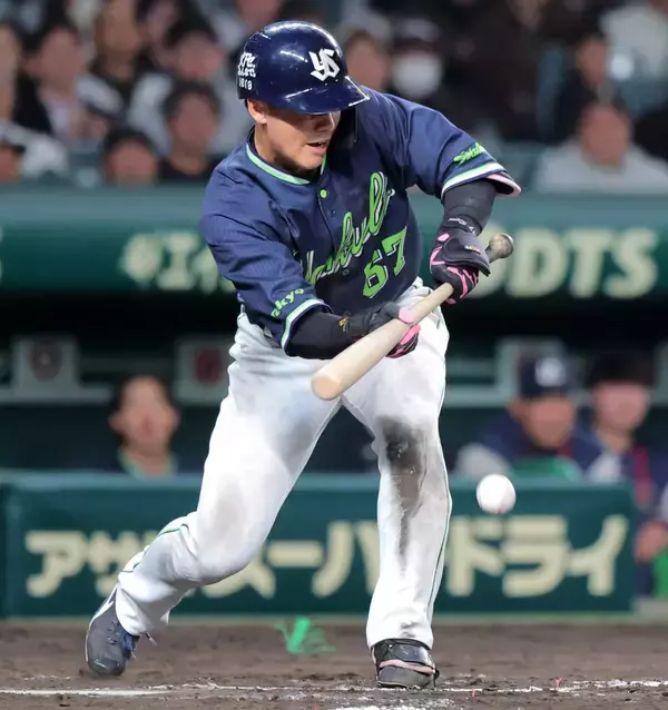 【ヤクルト】ついに出た⁉　今季１０戦目でチーム初の犠打　伊藤琉偉が送りバント