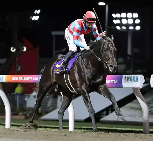 【川崎記念】「まだまだまだ、まだ強くなる」３連勝で初のビッグタイトル！新王者カゼノランナー