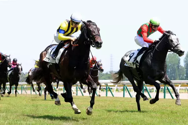 【新潟５Ｒ・３歳未勝利】マスカレードボールの半弟アナザーフェイスが初Ｖ　荻野極騎手「今日は馬の力」