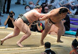 「横綱のしこ名を継ぐ旭富士、史上３位の序ノ口デビューから２５連勝　佐久間山の最多記録まであと「２」」の画像1