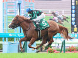 「【注目馬動向】函館２歳Ｓ勝ちのフェリチタはファンタジーＳで重賞連勝を目指す　スーサンコルティナはデイリー杯２歳Ｓ視野」の画像1