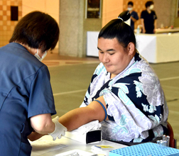 夏巡業休場の幕内・欧勝馬　名古屋場所後に右肘を手術したことを明かす　秋場所へ「間に合わすしかない」…健康診断
