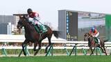 「【札幌２歳Ｓ】怪物の父フライトラインに続く！　ショウナンガレオン圧勝で重賞初Ｖ　国本哲秀オーナー「夢があるから競馬はいい」」の画像1