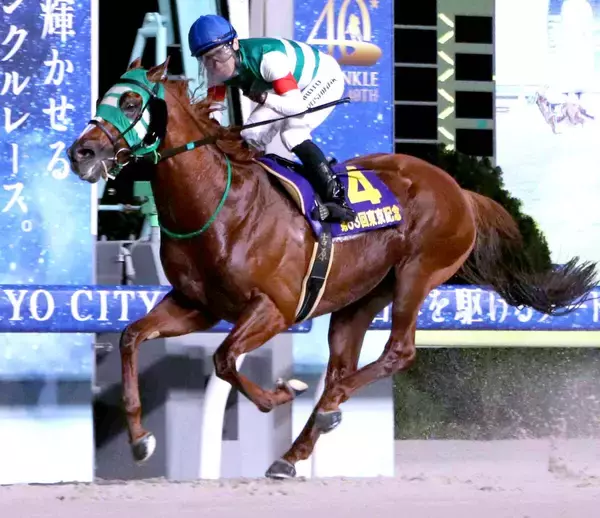 【東京記念】断然１番人気のセラフィックコールが重賞４勝目　いざＪＢＣへ　吉原寛人騎手「一段とパワーアップした」