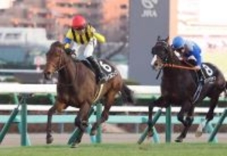【私の推し馬】「大きなところを狙える」来年のグランプリでも注目したい逸材！素質は間違いなくＧ１級ジョイフルニュース