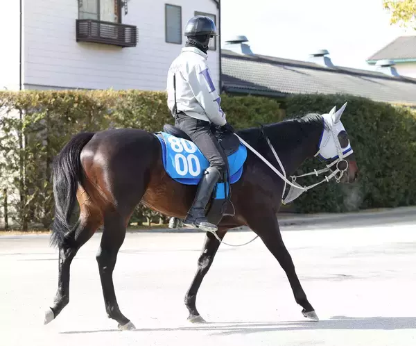 【シルクロードＳ・松ケ下の特注馬】ヤブサメはここでも通用　前走後の石橋調教師のコメントが印象的