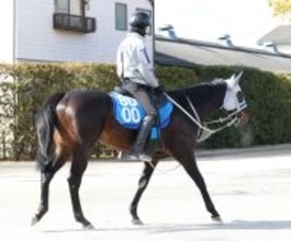 【シルクロードＳ・松ケ下の特注馬】ヤブサメはここでも通用　前走後の石橋調教師のコメントが印象的