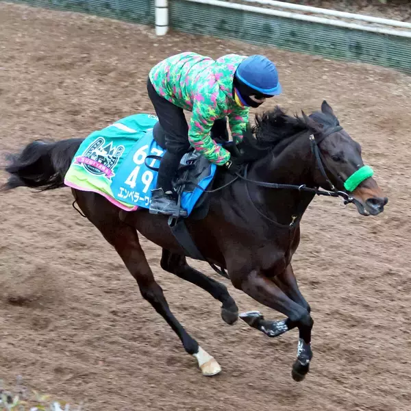 【根岸Ｓ】「能力の絶対値はＧ１クラス」杉山晴調教師が今年にかけるエンペラーワケア　勝ってＧ１の舞台へ