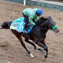 【根岸Ｓ】「能力の絶対値はＧ１クラス」杉山晴調教師が今年にかけるエンペラーワケア　勝ってＧ１の舞台へ