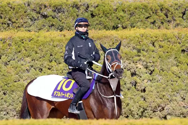 【フェブラリーＳ】前日オッズは２強ムード　１番人気はダブルハートボンドで２・９倍　コスタノヴァが３・４倍