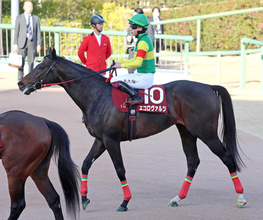【中山記念】２番人気エコロヴァルツは３着で初タイトル逃す　横山武史騎手「距離も１ハロン延びた方がいい」