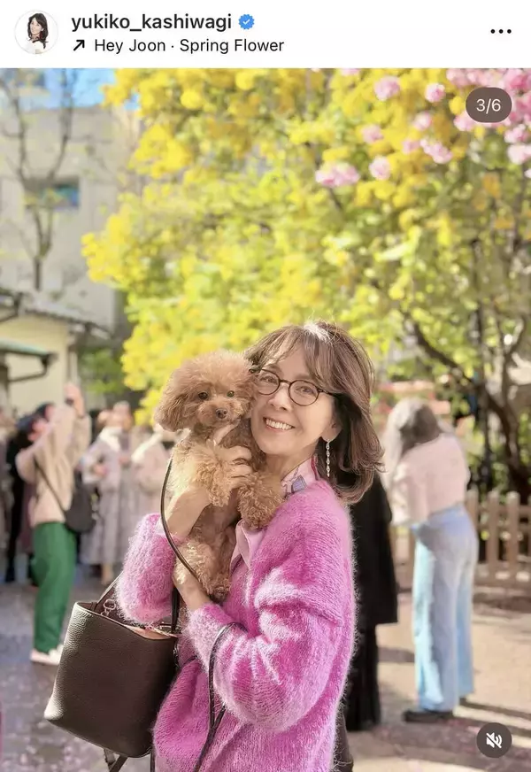 「春の色彩」柏木由紀子、“手編みセーター”で行く愛犬とのお出かけ姿が「本当におしゃれで素適」「美しい」