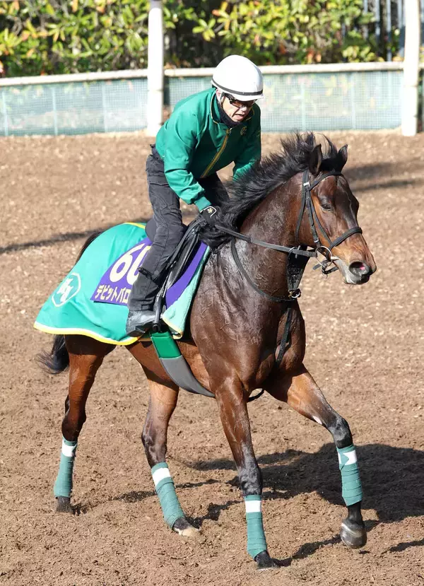 「【大阪杯】「出来はすごくいい」デビットバローズで上村調教師＆カナロア産駒３連覇だ」の画像