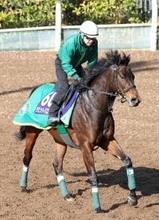 【大阪杯】「出来はすごくいい」デビットバローズで上村調教師＆カナロア産駒３連覇だ