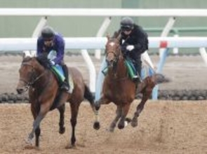 【京王杯ＳＣ】一気４連勝で重賞奪取へ　ダノンセンチュリーが軽快デモ　萩原調教師が評価「我慢が利いていた」