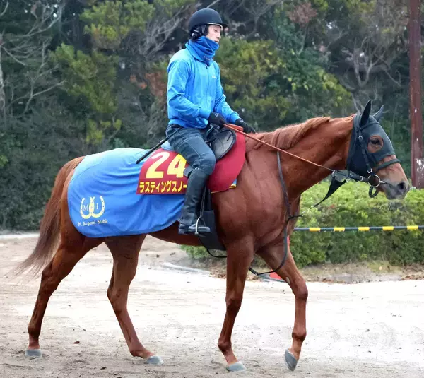 【阪神ＪＦ】３戦連続で逃げているラスティングスノーは７枠１５番　池上調教師「内を見ながらになる」