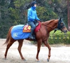 【阪神ＪＦ】３戦連続で逃げているラスティングスノーは７枠１５番　池上調教師「内を見ながらになる」