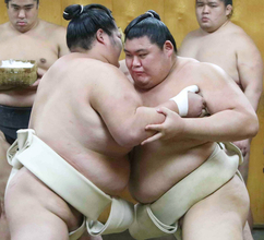 先場所左肩負傷の横綱・大の里　場所前最後の出稽古で大関・琴桜に７勝１０敗、初場所は「もちろん」と出場明言