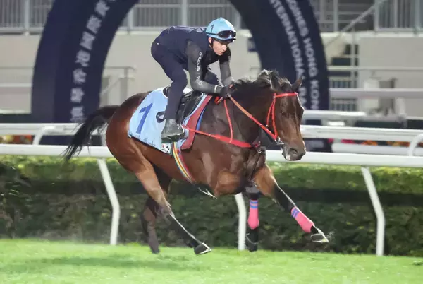 「１頭立てのレース」「ヒェー」１２度目のＧ１勝利にＳＮＳ驚嘆　香港スチュワーズＣロマンチックウォリアー