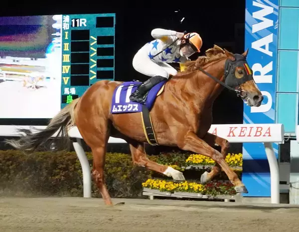 断然人気馬が...「競馬て難しいなあ」「飛ぶのかよ」まさかの１０着惨敗にＳＮＳ悲鳴　名古屋競馬・梅見月杯