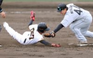 【巨人】育成・宇都宮葵星が技ありスチール！タッチをかいくぐる“美技”と快足でアピール