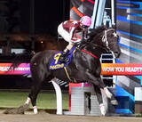 「【東海桜花賞】単勝１・２倍の大井ナイトオブファイアは首差２着に敗れる　メイショウタイセツと一騎打ちも届かず」の画像1