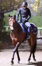 【香港・チェアマンズＳＰ】世界史上最強スプリンターに挑む日本短距離王サトノレーヴに不安なし