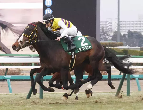 ２５年京成杯の覇者ニシノエージェントが競走馬登録を抹消　今後は地方に移籍へ