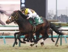 ２５年京成杯の覇者ニシノエージェントが競走馬登録を抹消　今後は地方に移籍へ