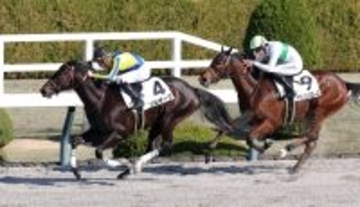 【阪神４Ｒ・２歳新馬】ソルオーブが長くいい脚で抜け出してＶ　ジェルー騎手「最後はいい脚が使えました」