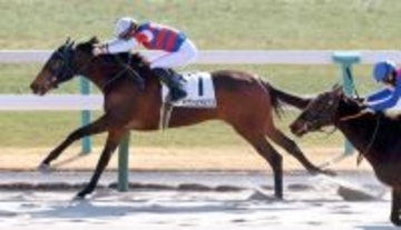 【京都４Ｒ・３歳新馬】ホウショウルクスが逃げ切り　復帰後初Ｖの角田大和騎手「調教から能力が高いと思っていた」