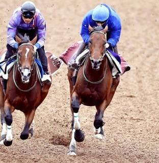 馬トクスタッフが選ぶ日曜の買うべき３頭　自己条件なら「盤石」で外せない中山７Ｒ