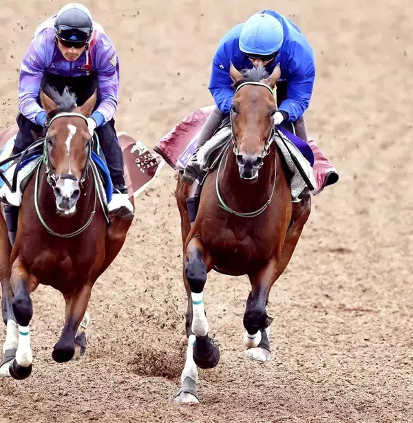 馬トクスタッフが選ぶ日曜の買うべき３頭　自己条件なら「盤石」で外せない中山７Ｒ
