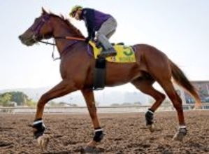 【注目馬動向】ウインカーネリアンがドバイのアルクオーツスプリントの招待を受諾　２年連続参戦へ