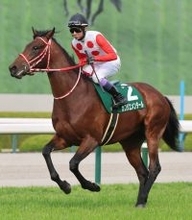 【毎日杯】「最後は切れ負けしたかな」武豊騎手のカフジエメンタールは直線伸びず３着どまり