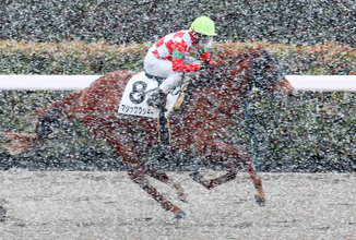 【バイオレットＳ】２年連続で後の重賞馬誕生の出世レース　加藤士厩舎期待の２頭がスタンバイ