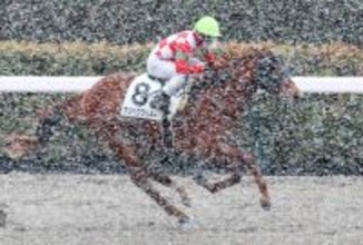 【バイオレットＳ】２年連続で後の重賞馬誕生の出世レース　加藤士厩舎期待の２頭がスタンバイ