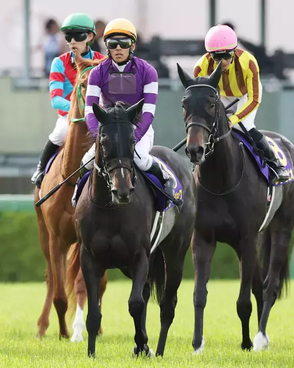 桜花賞の枠入りで突進したリリージョワは５月３日まで出走停止　発走時刻が８分遅延