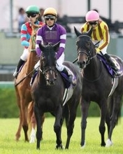 桜花賞の枠入りで突進したリリージョワは５月３日まで出走停止　発走時刻が８分遅延