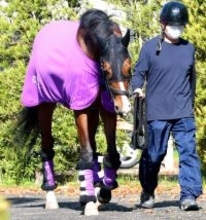 【注目馬動向】アドマイヤクワッズは状態が整えばＮＨＫマイルＣへ　皐月賞１５着は友道調教師「距離適性の差かな」