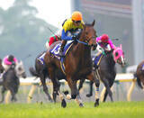 「【競走伝】衝撃の５馬身差レコード勝ち！名手・安藤勝己騎手が勝利を確信していたキングカメハメハ降臨　０４年・ＮＨＫマイルＣ」の画像1
