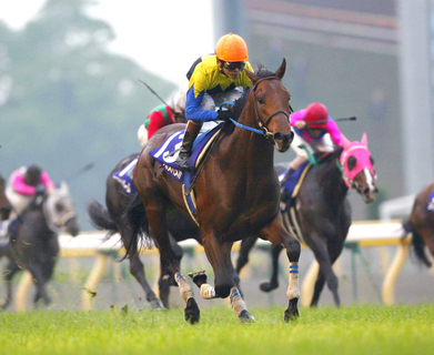 【競走伝】衝撃の５馬身差レコード勝ち！名手・安藤勝己騎手が勝利を確信していたキングカメハメハ降臨　０４年・ＮＨＫマイルＣ
