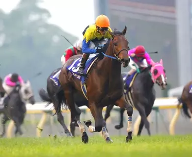 【競走伝】衝撃の５馬身差レコード勝ち！名手・安藤勝己騎手が勝利を確信していたキングカメハメハ降臨　０４年・ＮＨＫマイルＣ