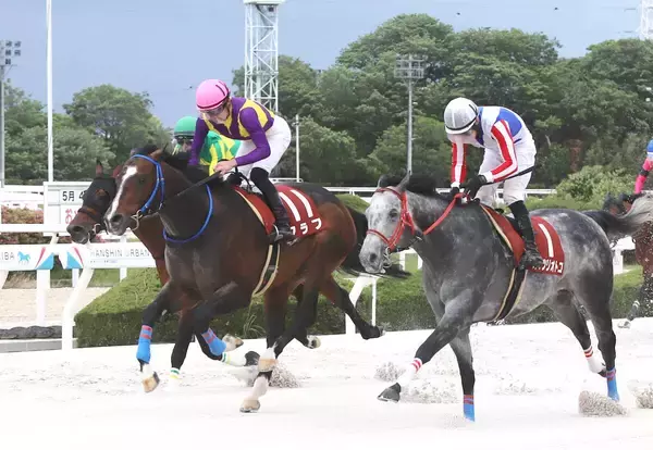 【園田・兵庫大賞典】６番人気フラフが激走！重賞初勝利　１番人気が５着に沈み３連単は１２万７７４０円と高配当に