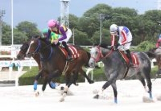 【園田・兵庫大賞典】６番人気フラフが激走！重賞初勝利　１番人気が５着に沈み３連単は１２万７７４０円と高配当に