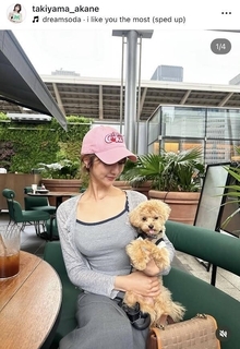 「いたずら止まらない」ＡＢＥＭＡ美人アナ・瀧山あかね、愛犬・小虎の鋭い視線の先には、、、？「可愛い」の嵐